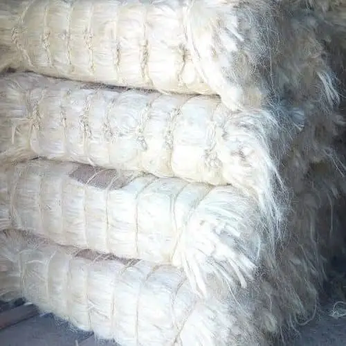 Sisal Fiber Supplier Tanzania UG Sisal Fiber for Sale