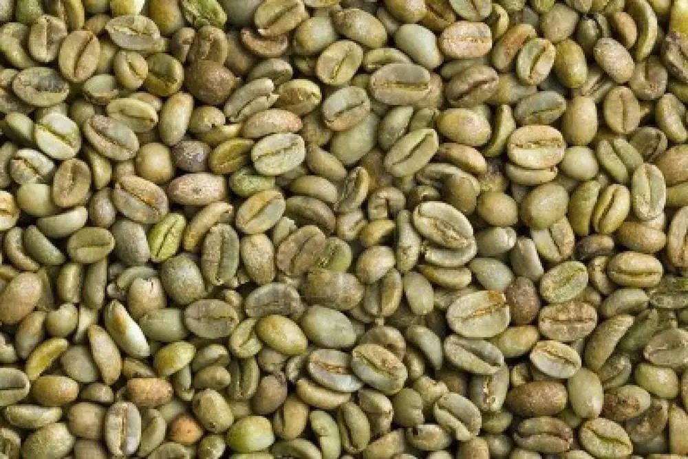 GREEN BEAN COFFEE ARABIKA