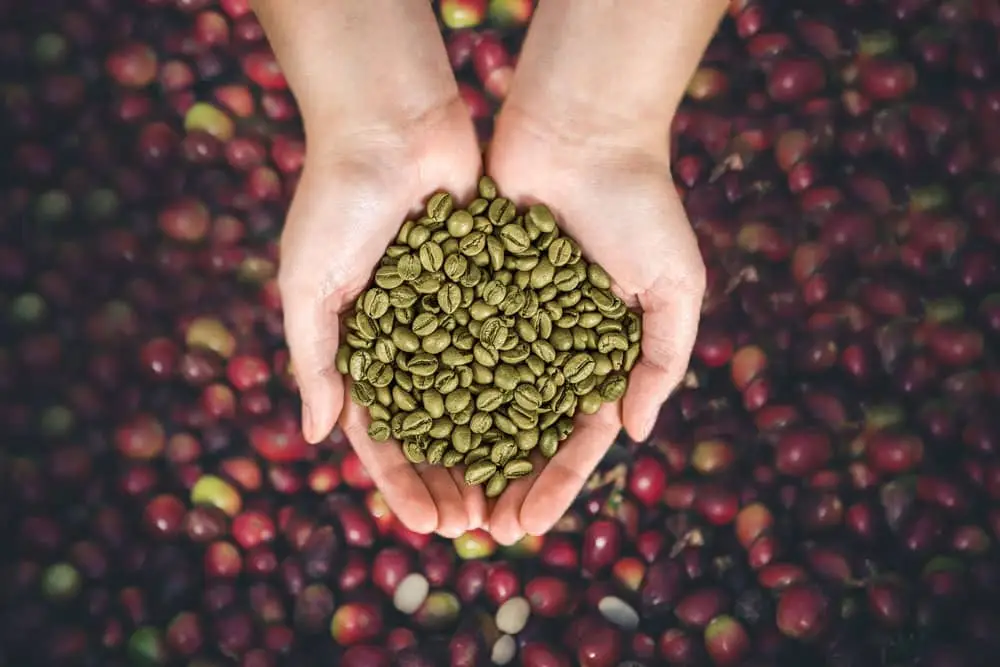 GREEN BEAND COFFEE