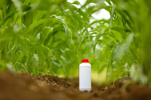 pesticides