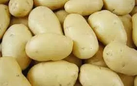 potato