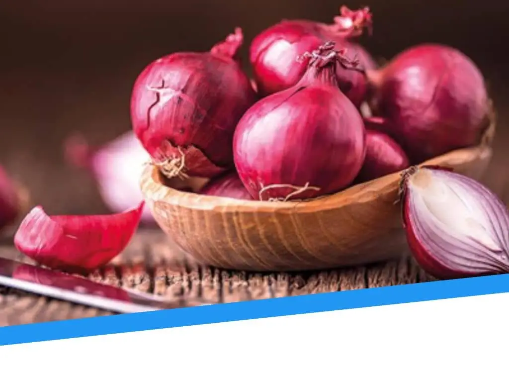 Fresh red onion